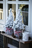 Christmas arrangement in front of terrace windows: miniature conifers, lanterns and pine cones