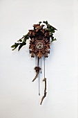 Traditional Black Forest cuckoo clock with root wood pendulum weights and decorated with ivy on white wall