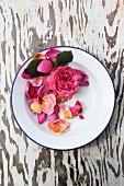 Pink rose and petals on enamel plate on wooden surface