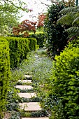 Eingewachsener, idyllischer Gartenweg mit einzelnen Trittplatten zwischen geschnittener Hecke und freiwachsenden Gehölzen