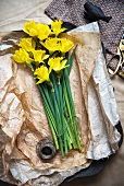 Daffodils on three sheets of wrapping paper