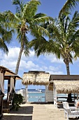 Beach with palms and cabanas