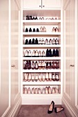 Shoe cabinet in cloakroom