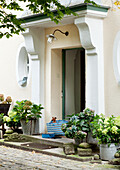 Entrance area of a house with plants and dog in carrier bag