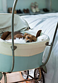 Dog sleeping in a vintage pram in the bedroom