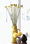 Craspedia and yellow roses in vase and black jug