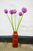 Alliums in vase against white wall