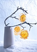 Slices of orange in spun-sugar cages hanging from twigs (festive)