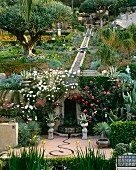 Large formal succulent garden with fountain in Los Angeles