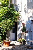 Topfpflanzen und üppiges Fassadengrün im romantischen Eingangsbereich eines alten Landhauses