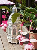 Oriental floor lanterns and potted plants with decorative flowers on wooden table