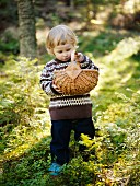 Kleines Mädchen beim Pilzesammeln in der Hand im Wald