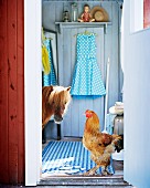 Chicken and pony walking through foyer of rustic wooden house