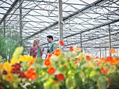 Man and woman smiling in greenhouse
