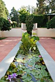Water lilies in modern pond on terracotta terrace with adjacent gardens