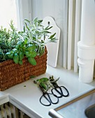 Wicker basket of kitchen herbs on windowsill