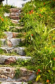 Blumen & Gras entlang einer Steintreppe