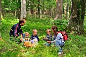 Family in forest picking mushrooms