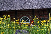 Flower bed outside thatched house