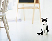 Kätzchen mit Halsband auf weißem Boden sitzend