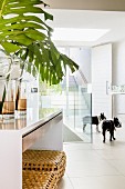 Hallway with open front door and view of wide staircase; two black and white patched dogs and vases of exotic leaves in foreground