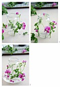 Decorating a candle lantern with scented pelargoniums