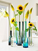 Einzelne Sonnenblumen & gelbe Fackellilien in verschiedenen Glasflaschen