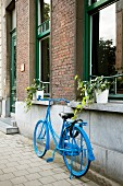 Abgestelltes hellblau gestrichenes Fahrrad vor Backsteinfassade mit Pflanztöpfen auf den Fensterbänken
