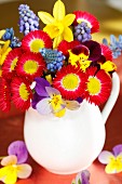 Spring bouquet with lawn daisies, hyacinth, narcissus and horned violets in a milk pitcher
