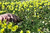 Young Woman Sleeping in Field of Wildflowers, Close-up