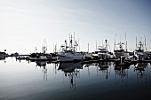 Fishing Boats in Harbor, San Diego, California, USA