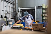 Worker operating packaging machine for vegan cheese (USA)