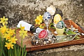 Tray of Easter eggs, Easter nest and narcissus