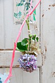 Hydrangea hanging upside down from pink-painted branch to dry; nostalgic botanical pictures stuck to old door with washi tape