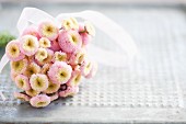 Posy of pink bellis daisies tied with ribbon lying on surface