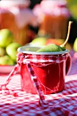Pear in red enamel mug decorated with ribbon on red and white gingham tablecloth in garden