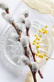 Table decoration of willow catkins and mimosa flowers on glass plate