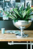 House plant in shiny silver goblet in front of family photos on black pinboard