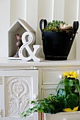 Potted plants and vintage ornaments on antique cabinet