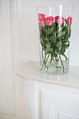Pink roses inside tall glass vase on white dresser