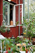 Many potted plants in glazed extension to wooden cabin