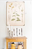 Kerzenständer auf schlichtem Wandtisch, darüber Tafel mit botanischer Zeichnung