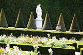 Rabatten mit Hecke und mythologische Steinskulptur zwischen kegelförmigen Buchsbäumen im Schloss Versailles