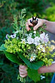 Woman's hands holding bouquet of summer flowers and secateurs