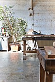 Werkbänke in rustikale Schreinerwerkstatt, im Hintergrund Grünpflanze vor geweisselter Ziegelwand