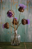 Thistle flowers in a glass vase
