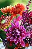 Colourful bouquet of dahlias