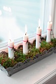Brennende Kerzen in verziertem Metall-Blumenkasten, mit Moos ausgelegt