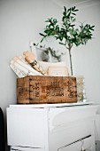 Rustic basket of old newspapers and potted plant on white-painted cabinet