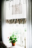 Potted geranium on windowsill under frilled hem of curtains